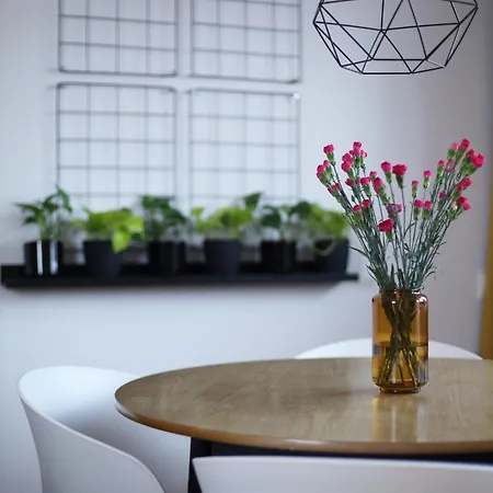 Flora - Mtp & Park Wilsona